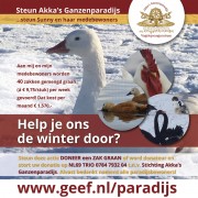 Help de dieren de winter door!