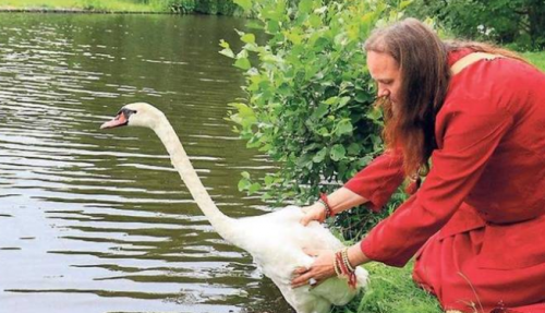 noorderplantsoen zwaan ganzenparadijs groningen