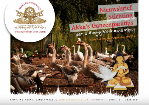 nieuws-akka-ganzenparadijs