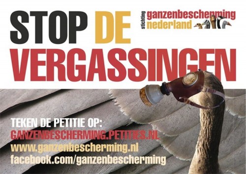 Stop de vergassingen!!!