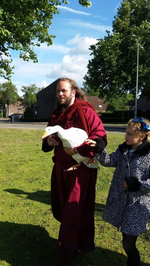 Ganzen Bergen op Zoom