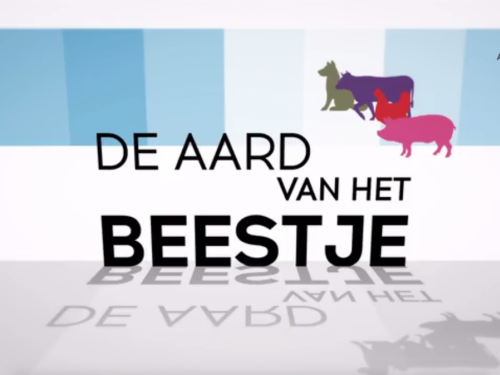 august tv ganzenparadijs aard van het beestje